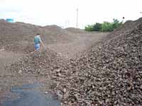 Iron Ore